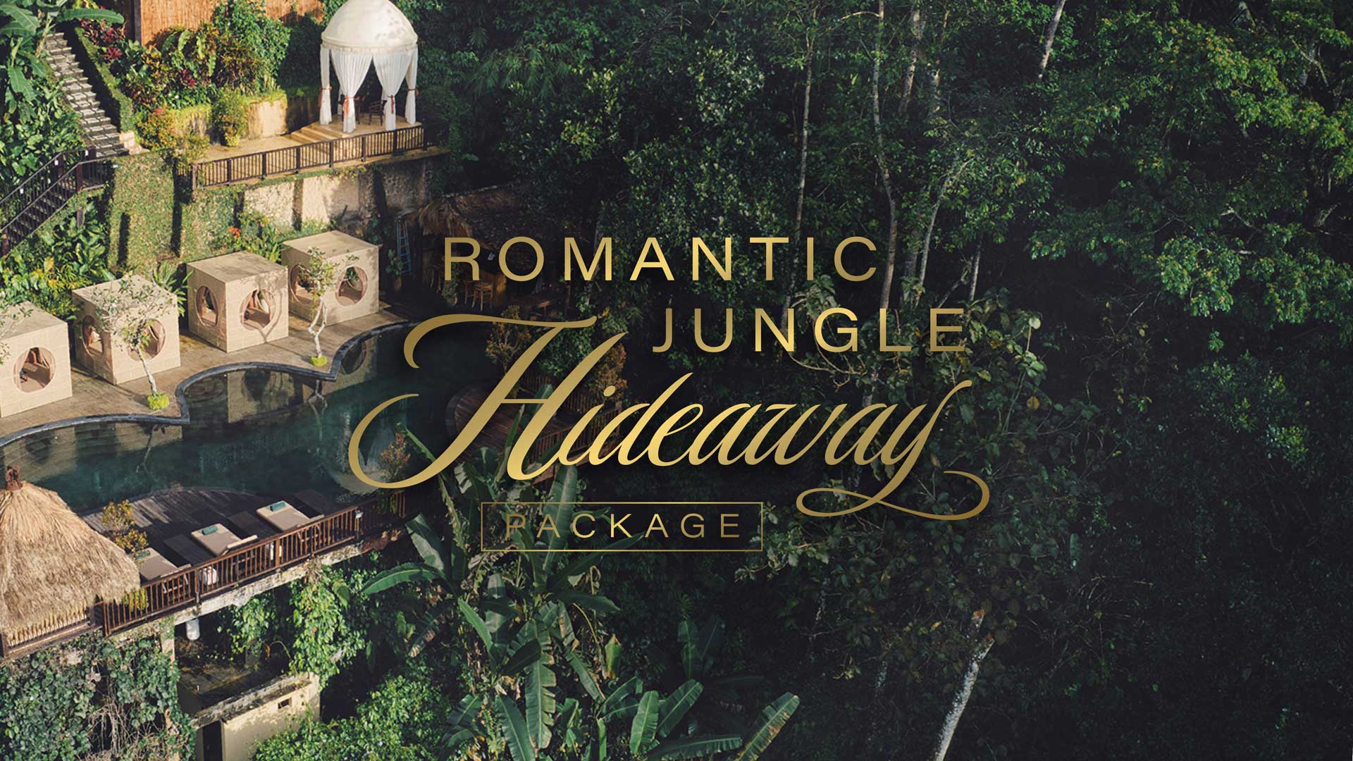 Offers - Romantic Jungle Hideaway