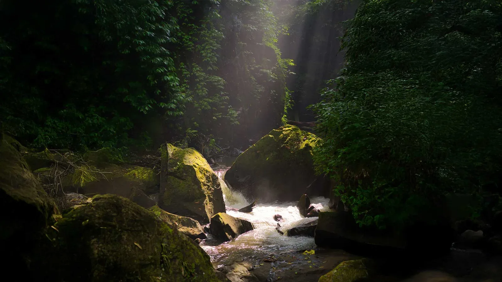 Peaceful jungle river and waterfall setting for the Holy River experience at Nandini Jungle by Hanging Gardens