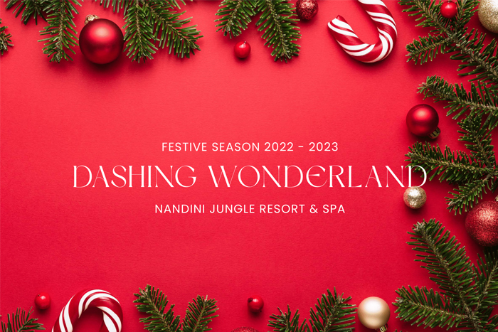 Blog - Dashing Wonderland at Nandini Jungle Resort & Spa Bali